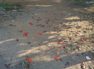  Plot For Sale in Karkhana