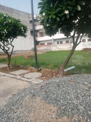  Plot For Sale in Satya Merano Greens, Sector 99a