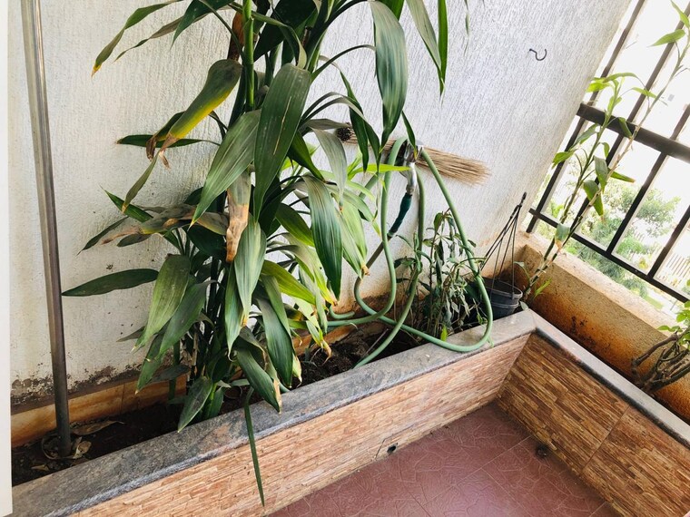 Gym, bhujbal-vatika-homes 2 Bedroom 907 Sq.Ft. Apartment In Balewadi Pune 9091967