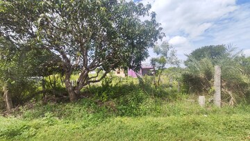  Plot For Sale in Krishna Greens IVC, Ivc Road