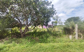 Plot For Sale in Krishna Greens IVC, Ivc Road