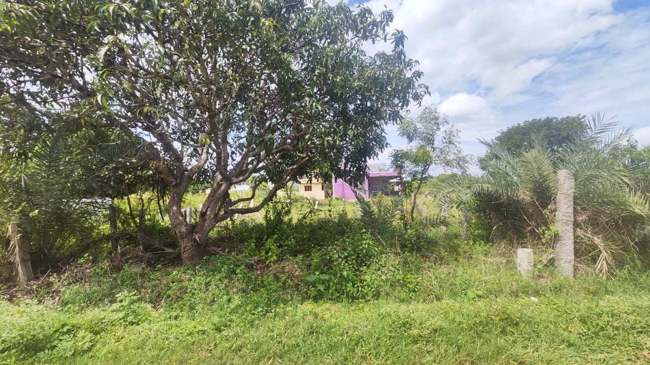 Plot For Sale in Krishna Greens IVC