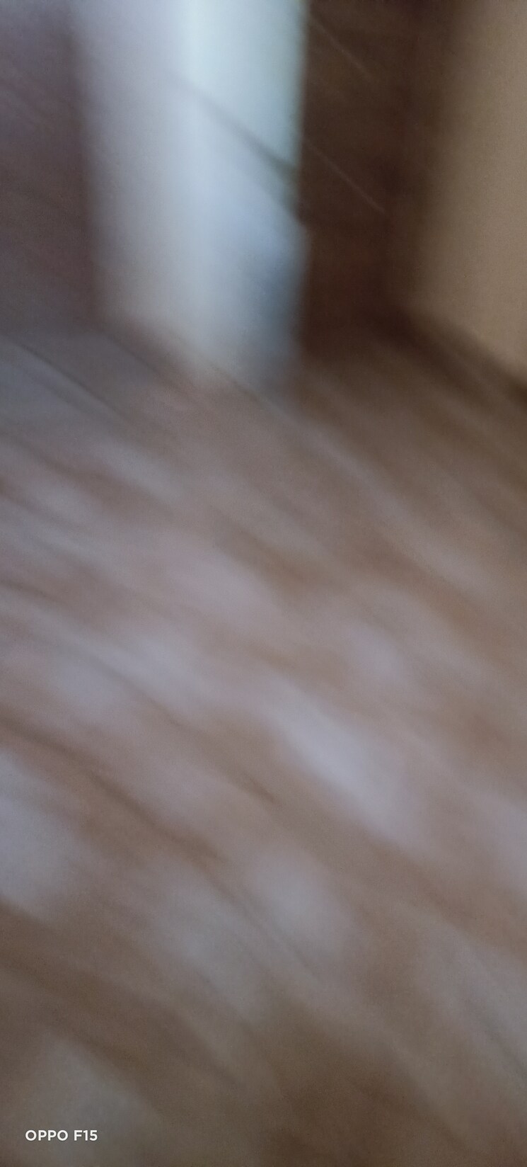 Room, migsun-delta-street 2 Bedroom 120 Sq.Mt. Independent House In Delta Ii Greater Noida Greater Noida 9092175