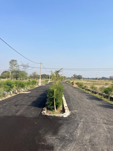 Plot Area in  Plot at Nigohan – for Sale