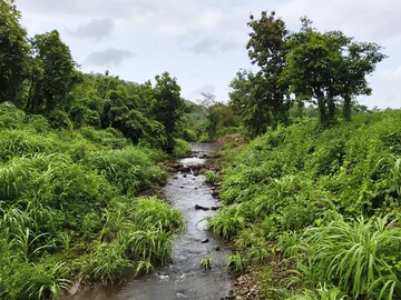  Plot – Nearby View at Karjat - for Sale
