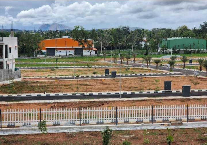 Plot For Sale in Raiyaan Orchid