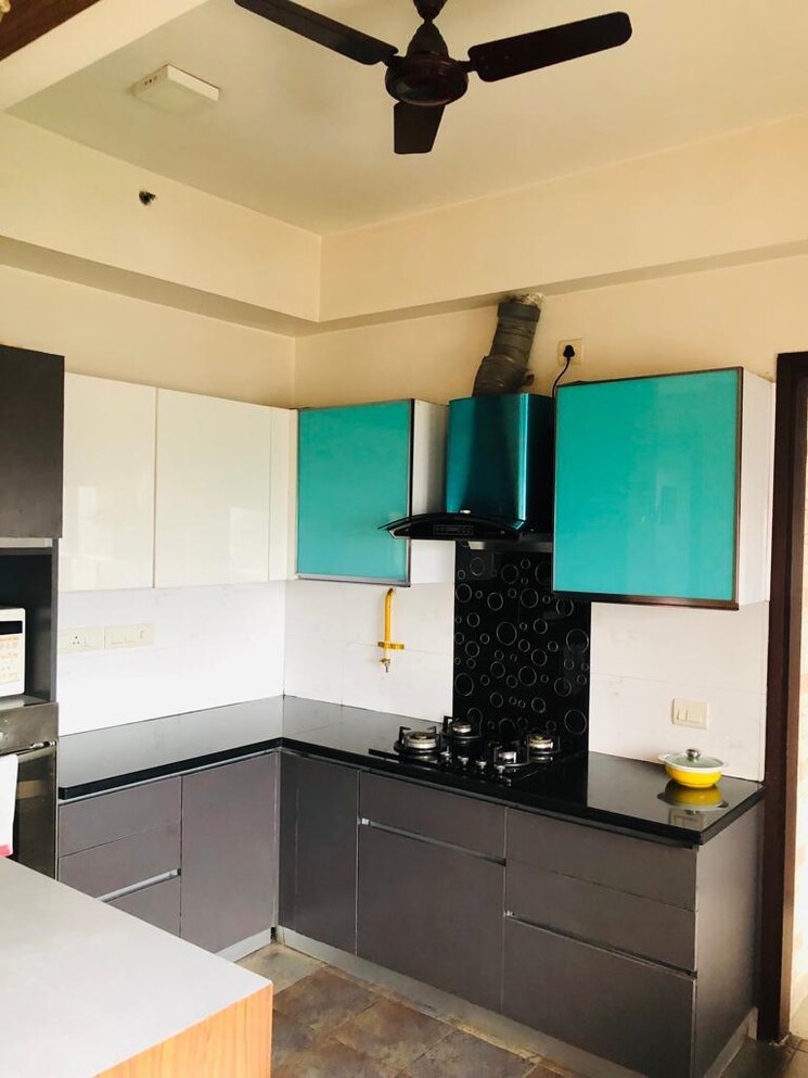 Kitchen, orchid-petals 3 Bedroom 2061 Sq.Ft. Apartment In Sector 49 Gurgaon 9092470