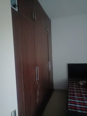 1 BHK Apartment For Rent in ROF Amaltas, Sector 92