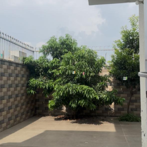 3 BHK Villa – Exterior View View at Sector 109 - for Sale