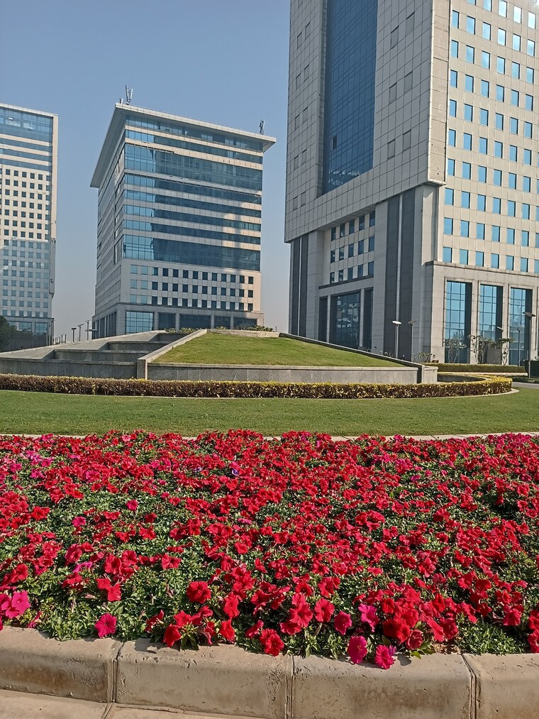 Exterior View, dlf-corporate-greens Commercial Office Space 2047 Sq.Ft. In Sector 74a Gurgaon 9092631