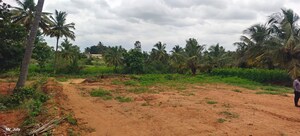 Plot Area in  Plot at Sanjay Nagar – for Sale