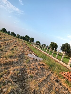 Plot Area in  Plot at Gwalior Road – for Sale