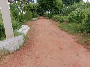Plot Area in  Plot at Gwalior Road – for Sale
