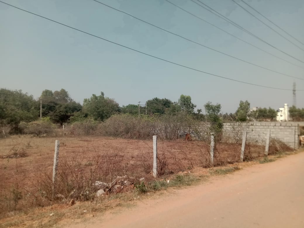 Plot For Sale in RT Nagar