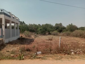 Plot Area in  Plot at Rt Nagar – for Sale