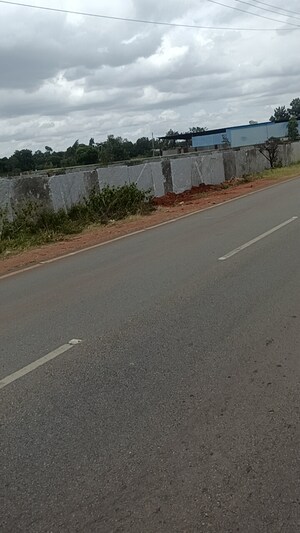 Plot Area in  Plot at Rt Nagar – for Sale