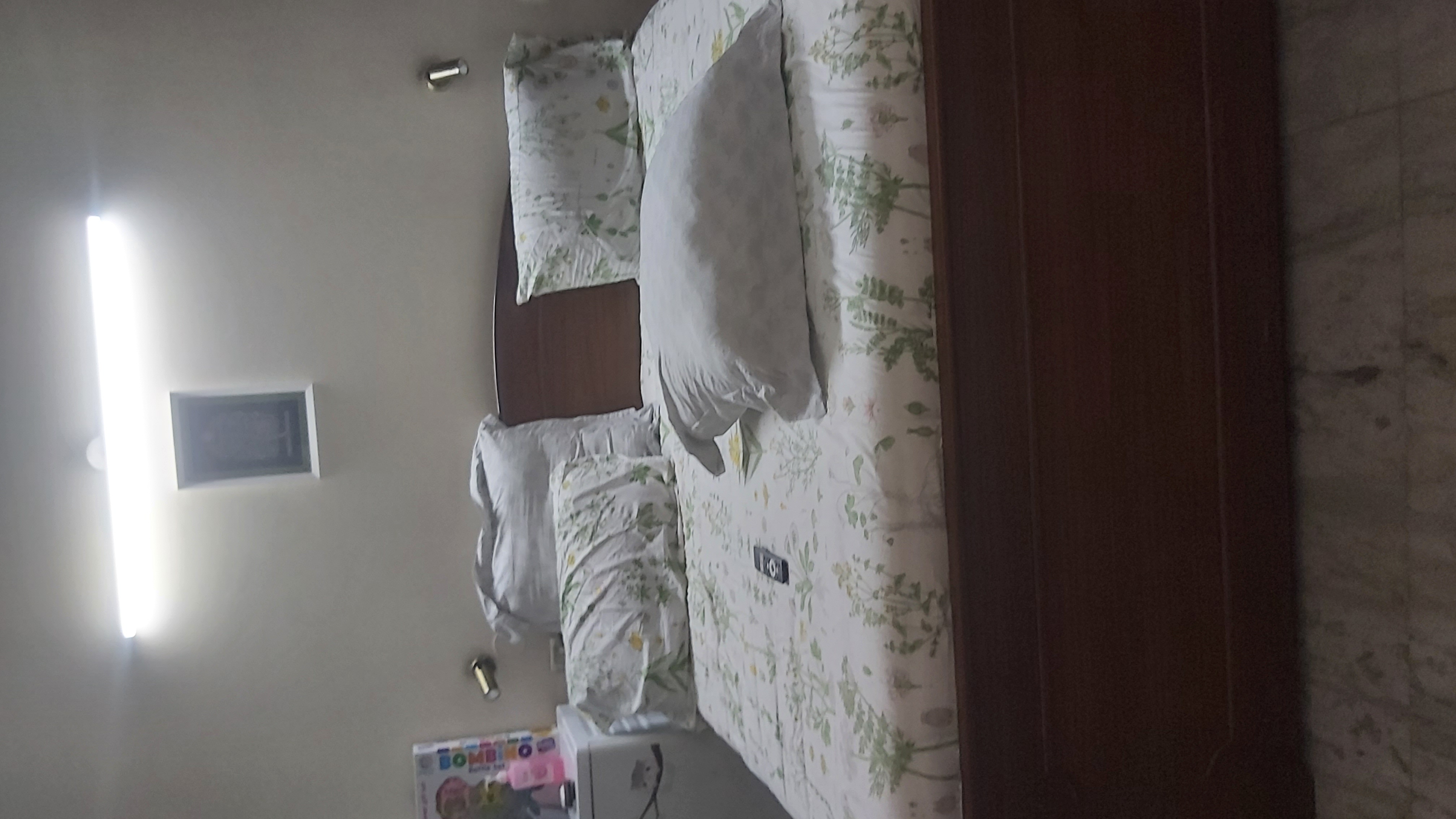 2.5 BHK + Pooja Room Apartment For Rent in Mayur Vihar Phase 1 Extension