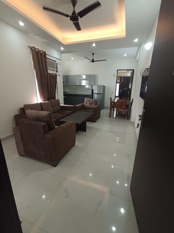 Living Room in 3.5 BHK Apartment at Ganpati Apartments Gurgaon, Sector 56 – for Rent