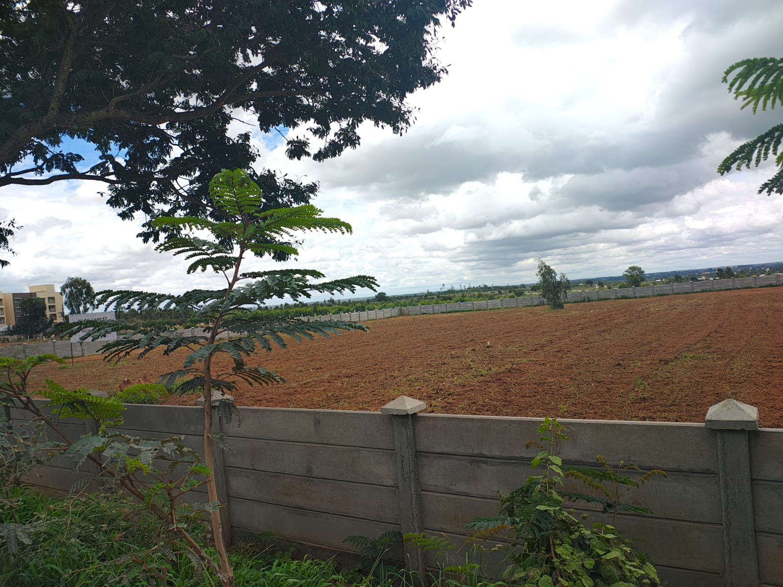 Land For Sale in Boss Ravi  Site 