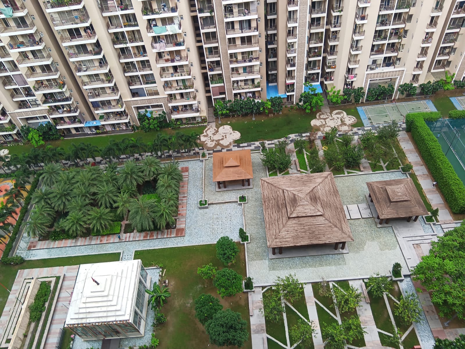 3 BHK Apartment For Rent in Ace Divino