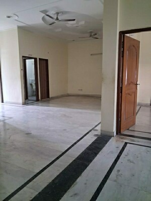 3.5 BHK Builder Floor For Rent in Sector 19