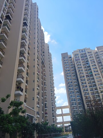 3 BHK Apartment – Exterior View View at Ace Divino, Sector 1 Greater Noida - for Sale