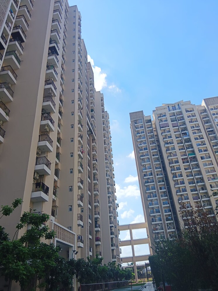 Exterior View, ace-divino 3 Bedroom 1565 Sq.Ft. Apartment In Sector 1 Greater Noida Greater Noida 9093108