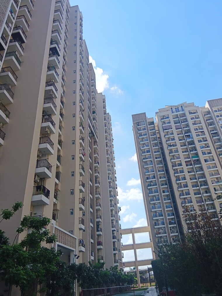 Exterior View, ace-divino 3 Bedroom 1565 Sq.Ft. Apartment In Sector 1 Greater Noida Greater Noida 9093108