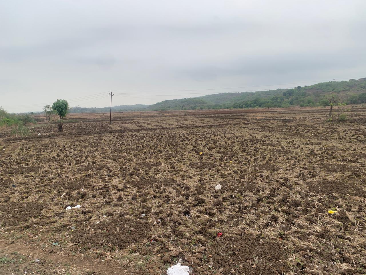 Plot For Sale in Bunglow Plot 