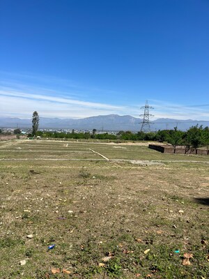 Plot Area in  Plot at Sherpur – for Sale