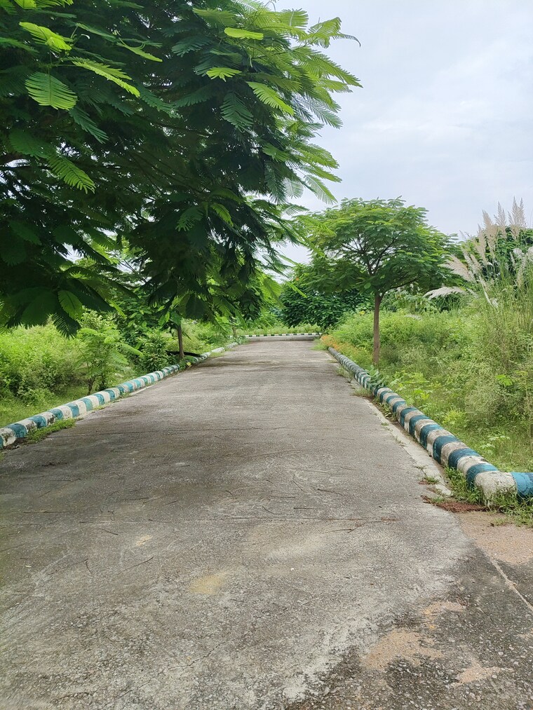 Garden, bithoor  191 Sq.Yd. Plot In Bithoor Kanpur 9093448