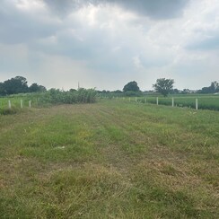 Plot For Sale in TDI City Kundli