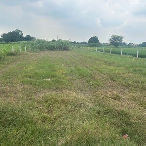 Plot Area in  Plot at TDI City Kundli, Sector 61 – for Sale