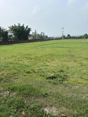  Plot For Sale in Sherpur