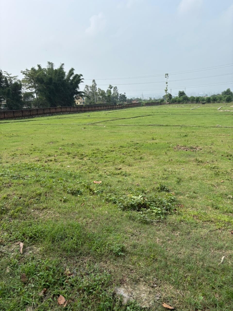 Plot For Sale in Sherpur