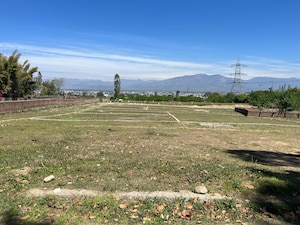  Land For Sale in Sherpur