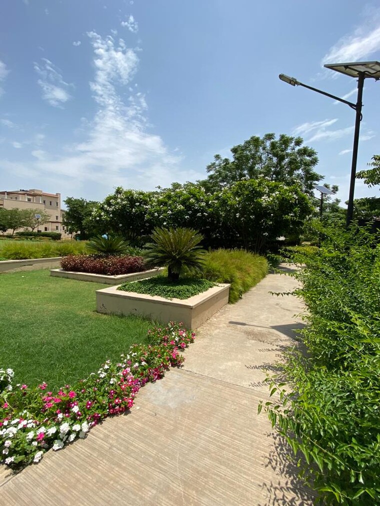 Garden, emaar-emerald-floors 4 Bedroom 1750 Sq.Ft. Builder Floor In Sector 65 Gurgaon 9093755