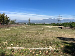 Plot Area in  Land at Sherpur – for Sale