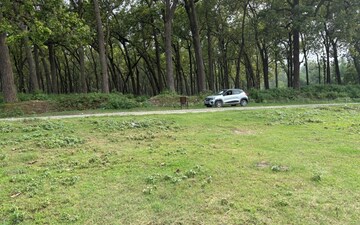 Plot For Sale in Sherpur