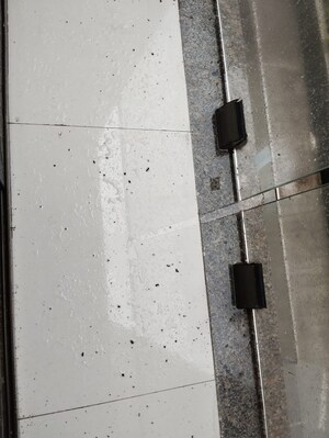 1.5 BHK Apartment For Sale in Vaishali Apartment CHS, Mazgaon