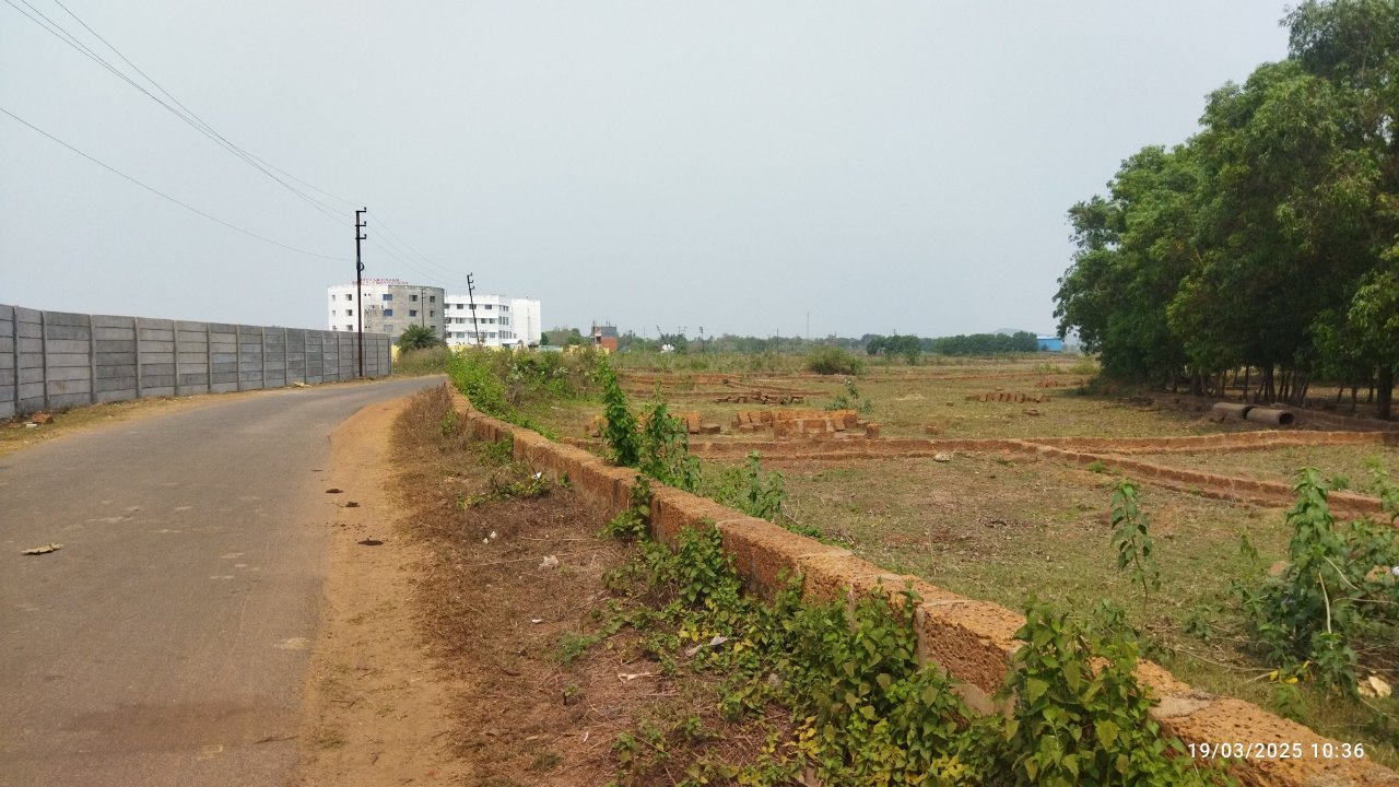 Plot For Sale in Palaspur Phase i 