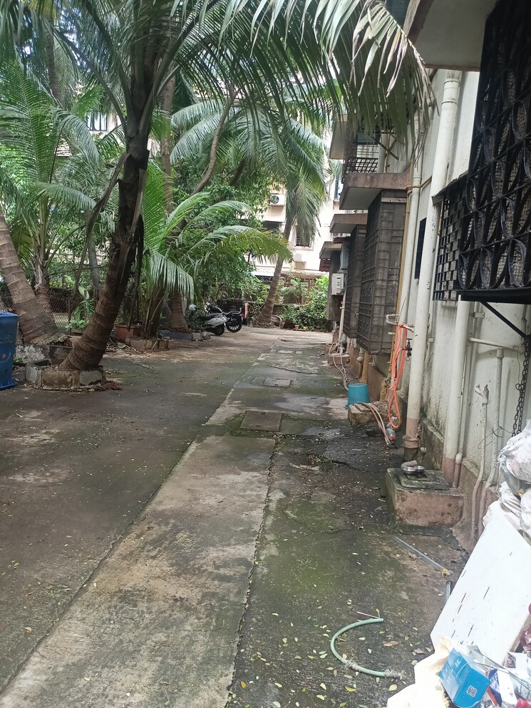 Exterior View, adarsh-nagar-society 1 Bedroom 450 Sq.Ft. Apartment In Worli Mumbai 9094350