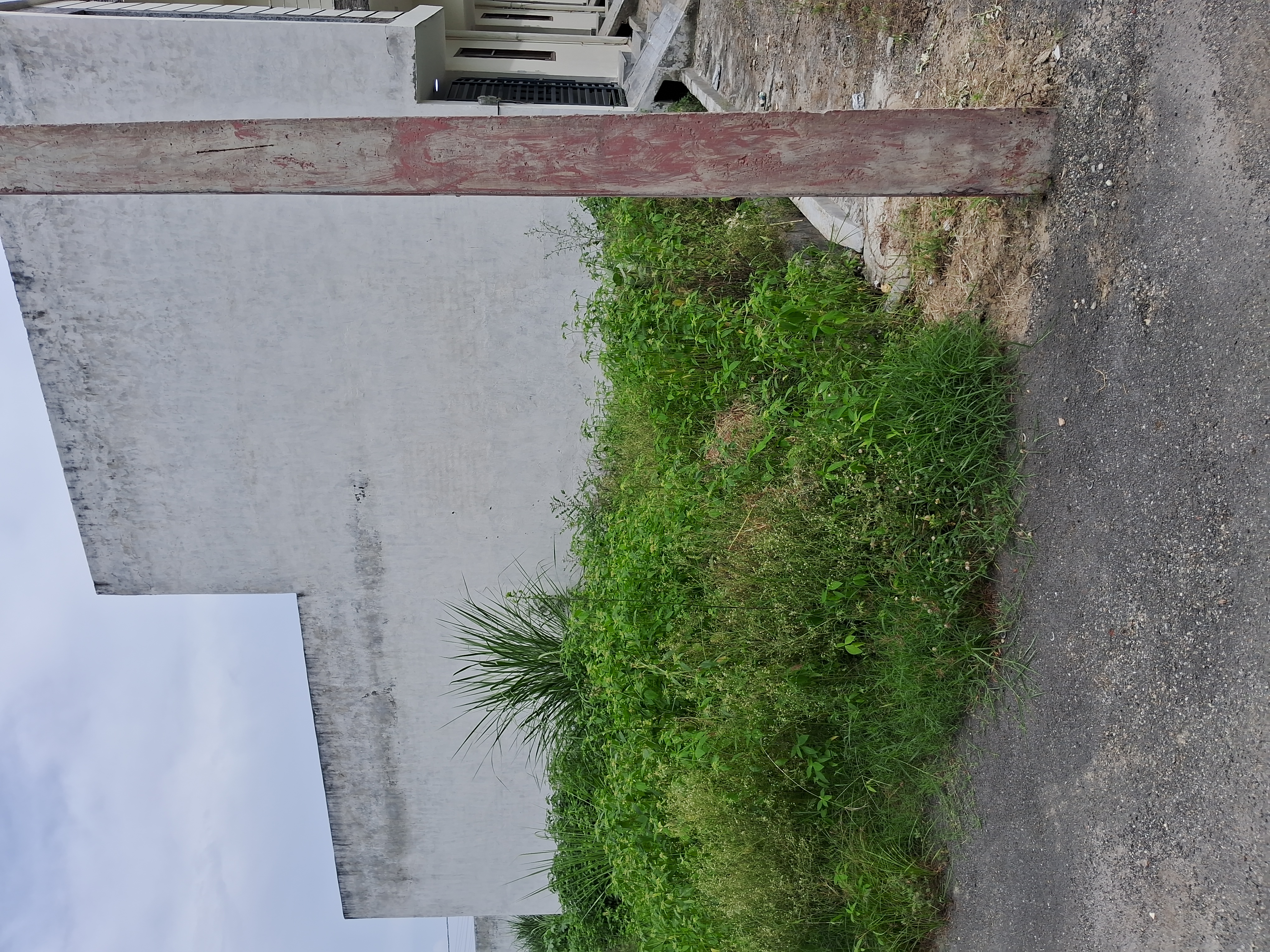 Plot For Sale in Prithvi Villas