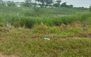 Plot For Sale in Chhata