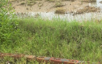 Land For Sale in Chhata
