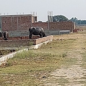  Plot – Exterior View View at Raebareli Road - for Sale