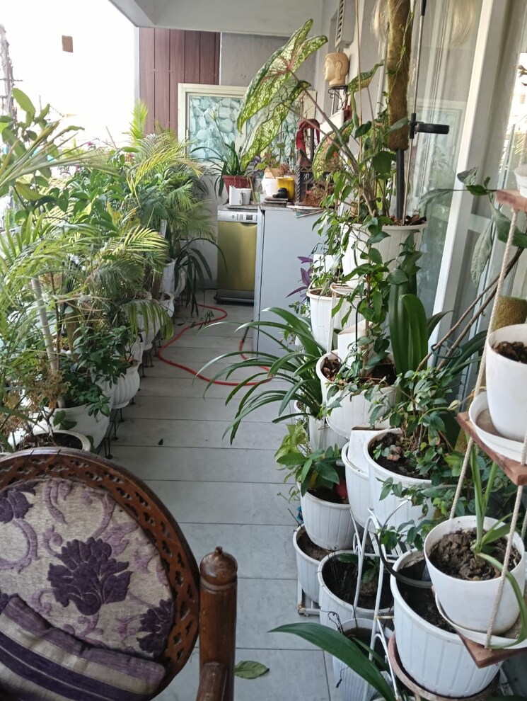 Balcony, sector 8 3 Bedroom 2250 Sq.Ft. Builder Floor In Sector 8 Panchkula 9094671