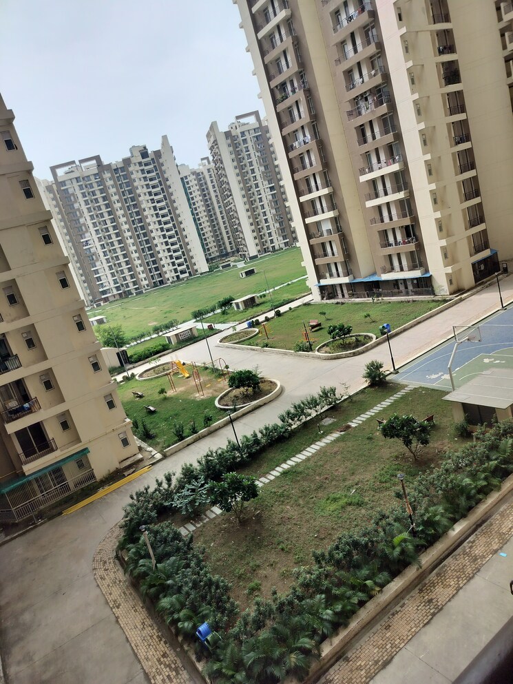 Garden, amrapali-golf-homes 3 Bedroom 1115 Sq.Ft. Apartment In Sector 4 Greater Noida Greater Noida 9095342