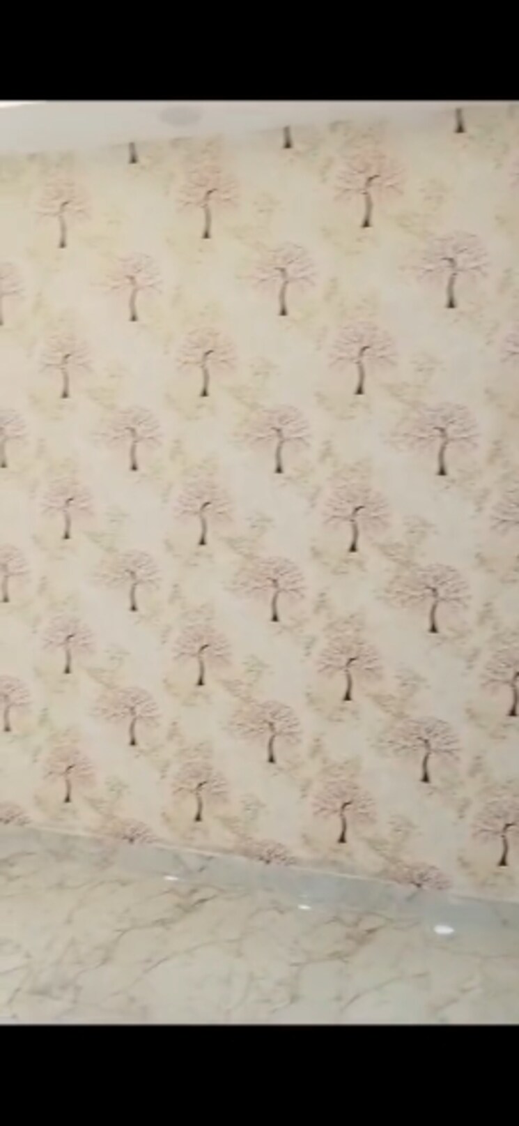 Room, mansa ram park 2 Bedroom 55 Sq.Yd. Builder Floor In Mansa Ram Park Delhi 9095424