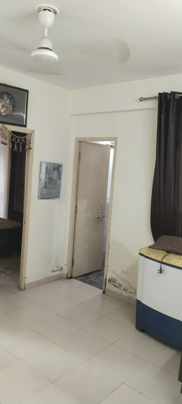 1 BHK Apartment For Rent in Auric City Homes, Sector 82